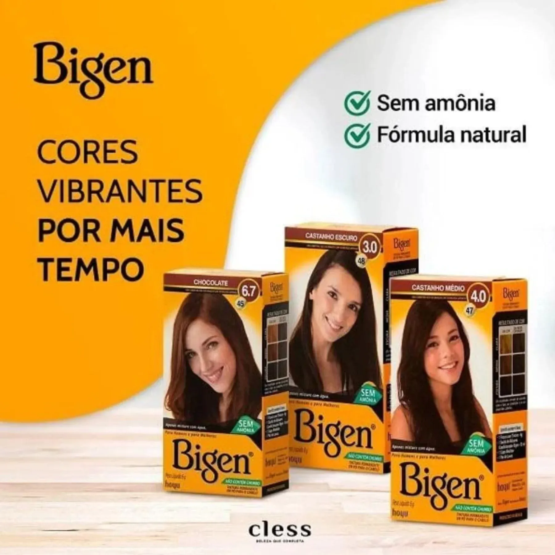 BIGEN GERAL 2